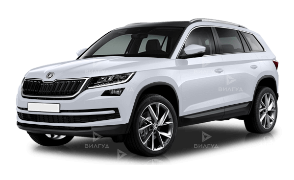 Диагностика бензинового двигателя Škoda Kodiaq в Краснодаре