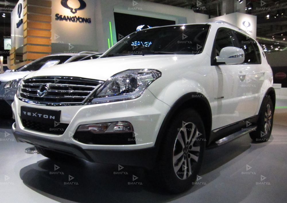 Диагностика бензинового двигателя Ssangyong Rexton в Краснодаре