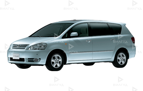 Диагностика подвески (ходовой) Toyota Ipsum в Краснодаре