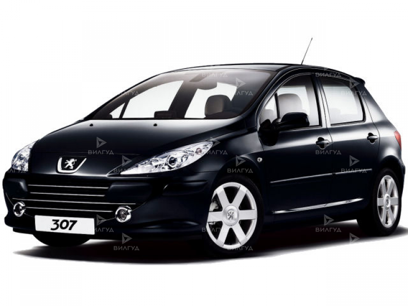 Ремонт и замена форсунок Peugeot 307 в Краснодаре Ремонт и замена форсунок Peugeot 307 в Краснодаре